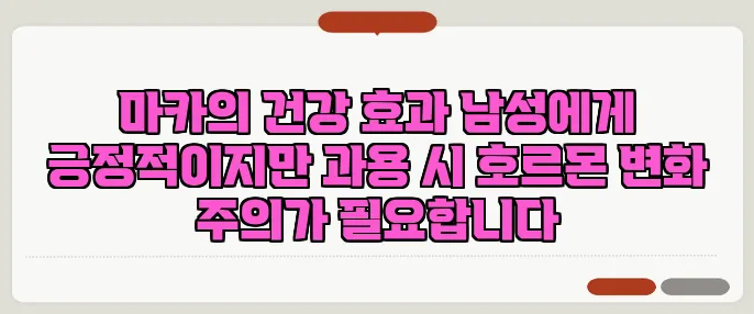 마카의 건강 효과 남성에게 긍정적이지만 과용 시 호르몬 변화 주의가 필요합니다