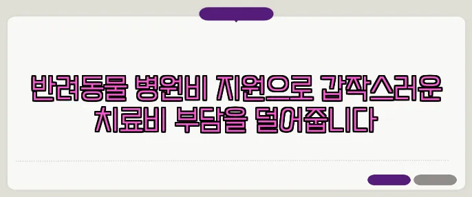 반려동물 병원비 지원으로 갑작스러운 치료비 부담을 덜어줍니다