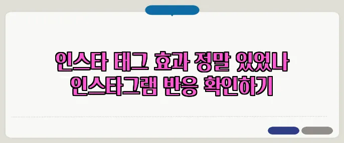 인스타 태그 효과 정말 있었나 인스타그램 반응 확인하기