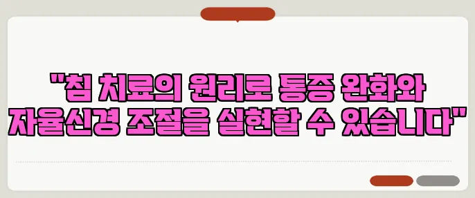 "침 치료의 원리로 통증 완화와 자율신경 조절을 실현할 수 있습니다"