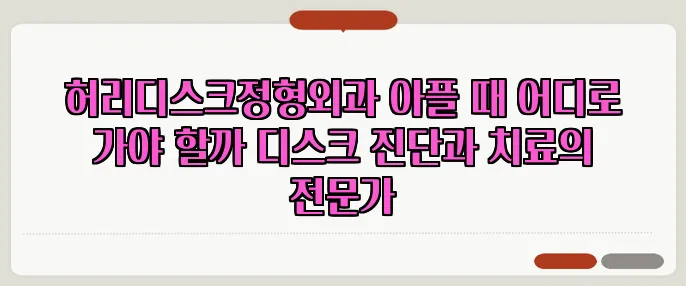 허리디스크정형외과 아플 때 어디로 가야 할까 디스크 진단과 치료의 전문가