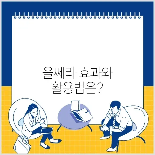 울쎄라 효과 시기와 최적 활용법 알아보기 썸네일