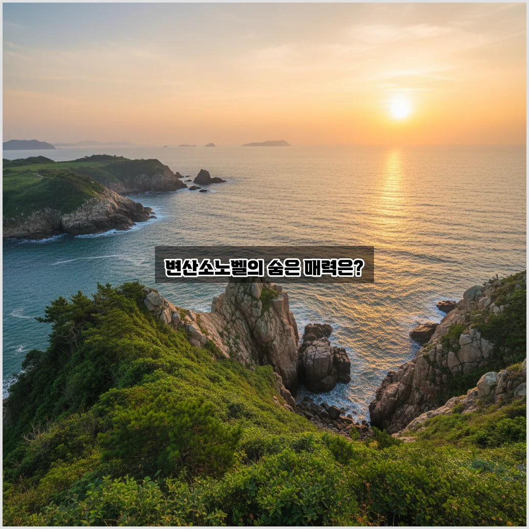 변산소노벨, 그 매력과 특징 알아보기 관련 이미지 1