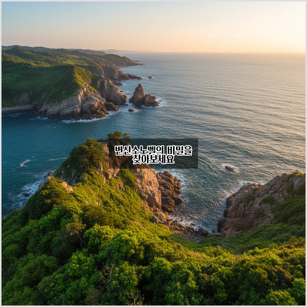 변산소노벨, 그 매력과 특징 알아보기 관련 이미지 2