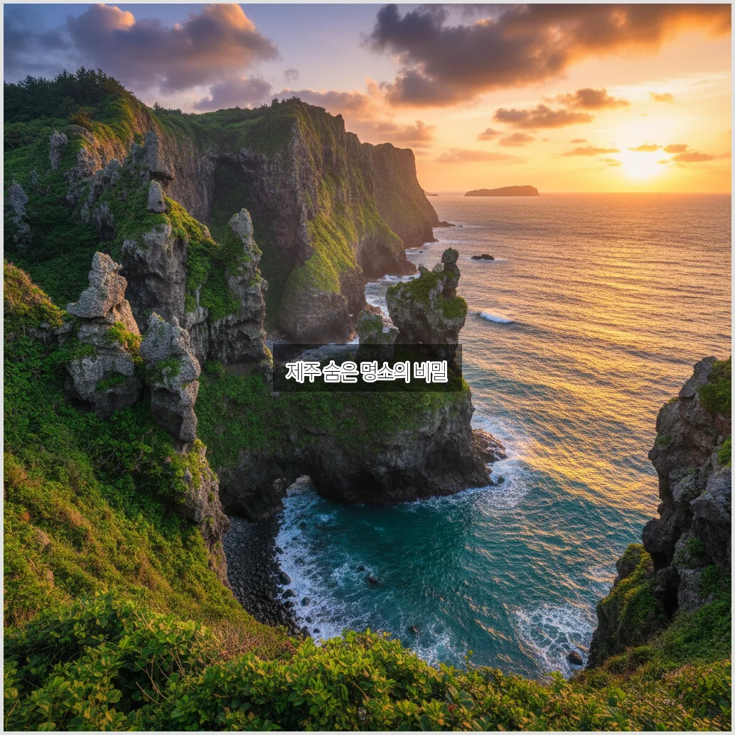 숨겨진 비경, 히든클리프제주 완벽 알아보기 관련 이미지 2